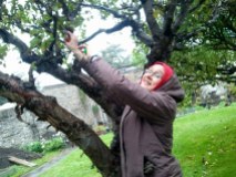 Sinead makes a start on the pruning